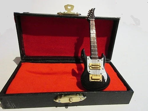 Sort ibanez guitar i box