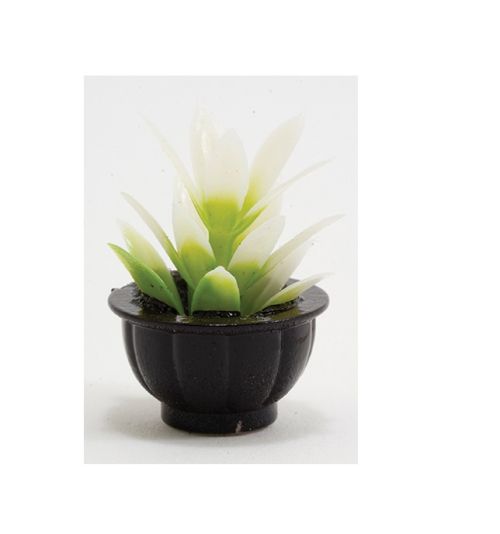 Potteplante i sort potte