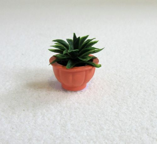 Grøn plante i terrecotta potte