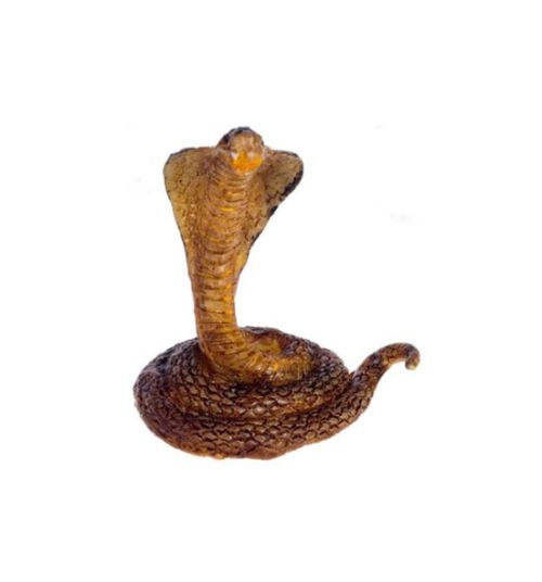 Konge cobra