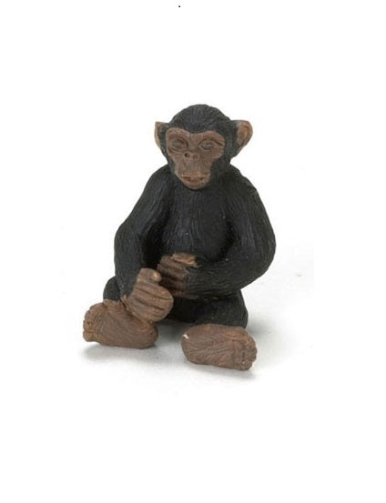 Chimpanse, resin