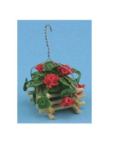 Geranium rød hængende plante