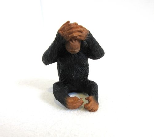Chimpanse resin ,, vil ikke se "