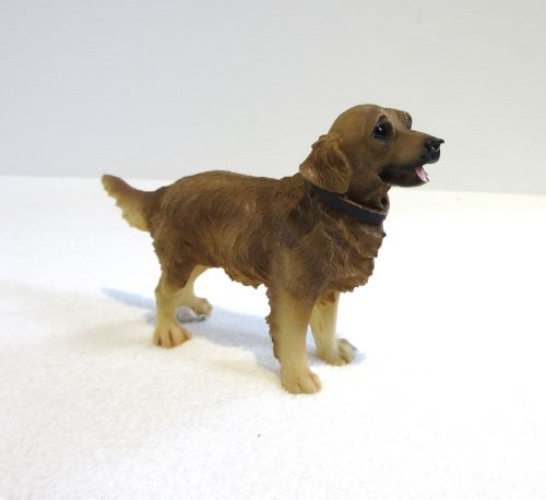 Heidi Ott: Golden retriver m/ halsbånd