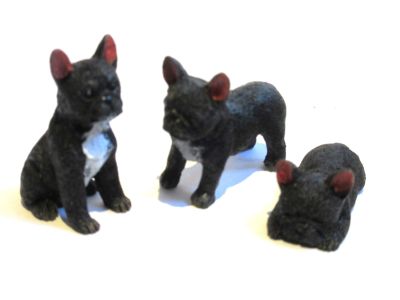 French bulldog pr. stk.
