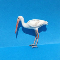Ibis