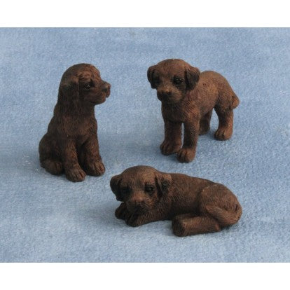 Labrador hvalpe pr. stk.