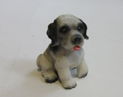 Hund, Snoff
