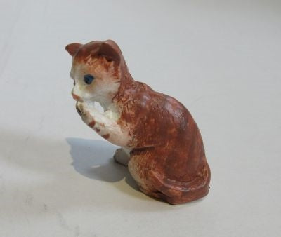 Kat, lille vimse