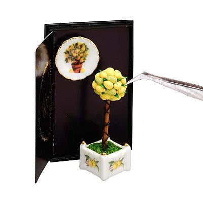 Citrontræ + platte