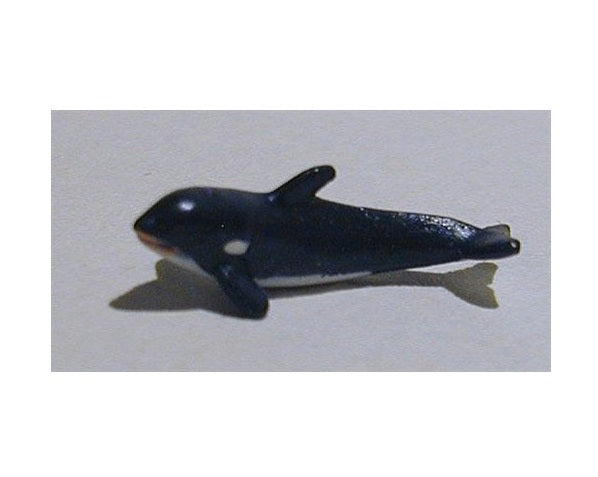 Whale,  pr.stk.