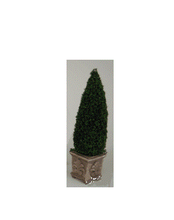 Topiary