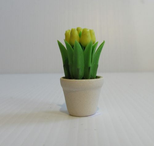 Tulipaner i hvid krukke