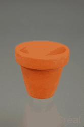 Blomsterpotte terra cotta