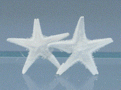 Søstjerner 1,5 x 2 cm ( 10 stk.)