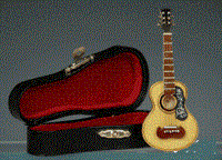 Guitar m/ kasse sort læder