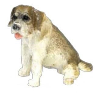 Bådsmands hund
