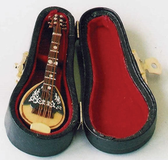 Mandolin i kasse
