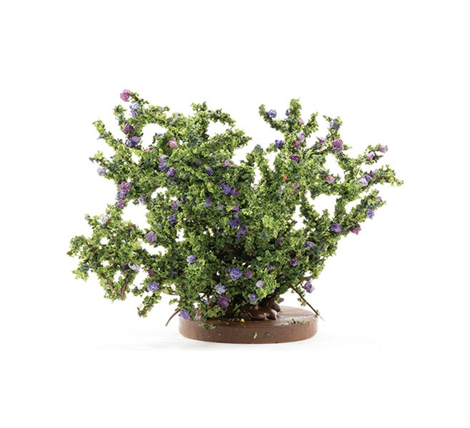 Rosenbusk stor, purple