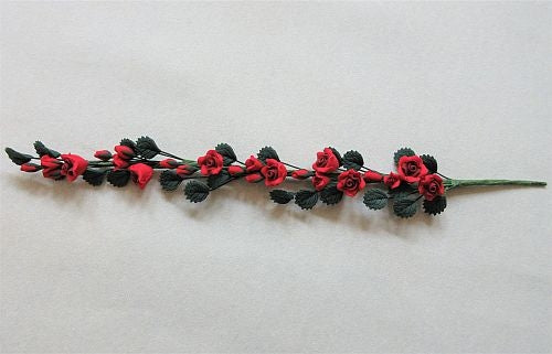 Rosen ranke, rød