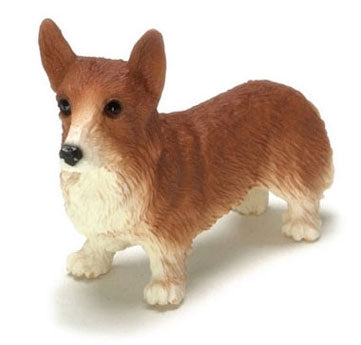 Red Corgi