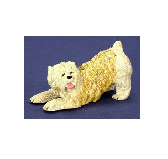 Soft Coated Wheaton Terrier