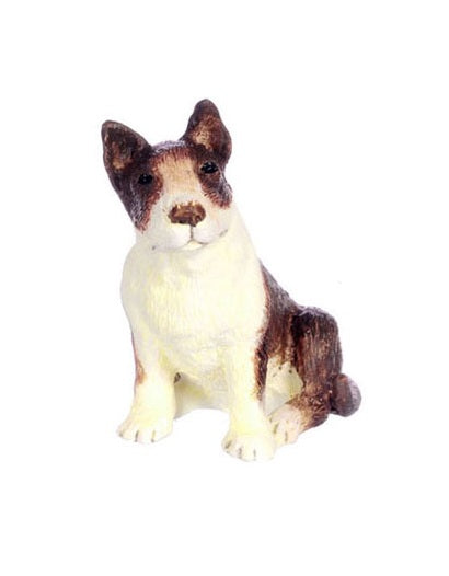 Bullterrier