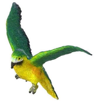 Green winged Macan