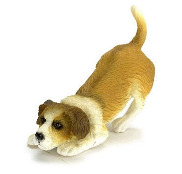 Sniffing Jack Russel
