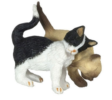 Gnubbende katte  sort & hvid