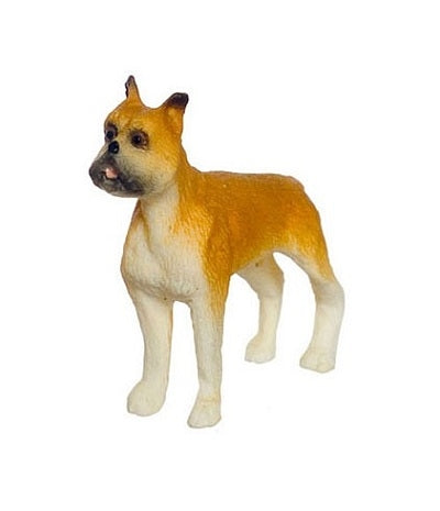 Boxer 1:24