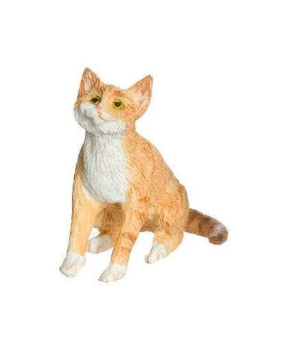 Kat