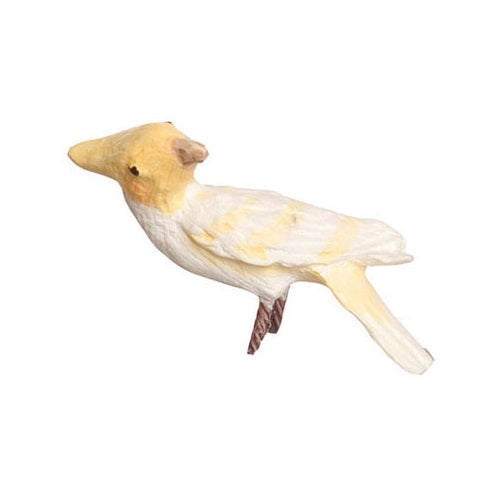 Lutino Cockatoo