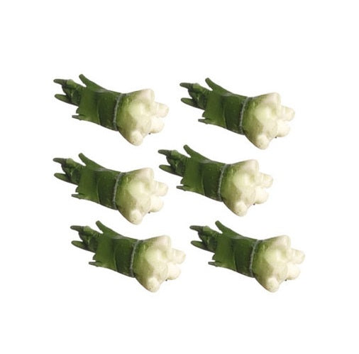 Forårsløg pr. bundt