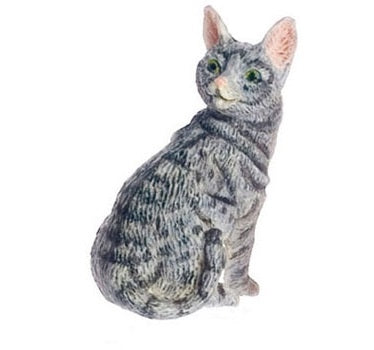Kat