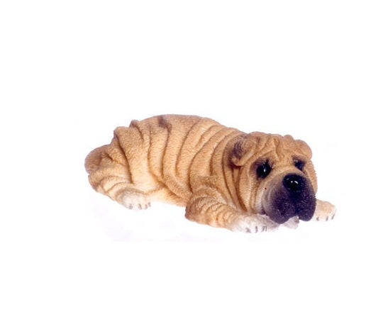 Sharpei