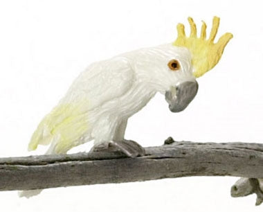 Cacadue