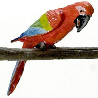 Green wing Macow