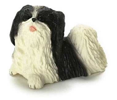 Japanese chin