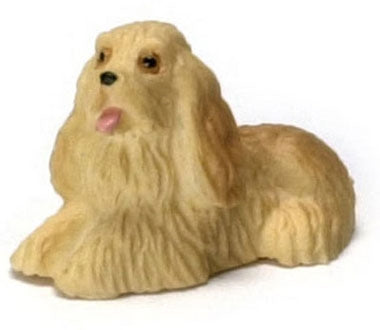 Cocker hvalp
