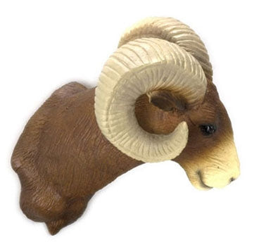 Vædder hoved