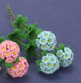 Rododendron blå, 3 stk.