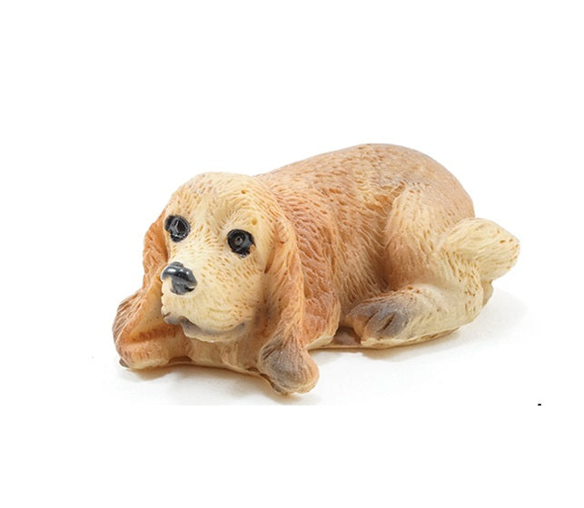 Bassethound