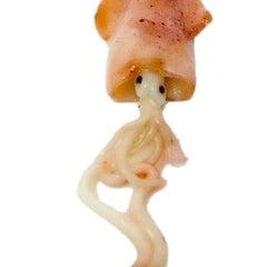 Form: blæksprutte