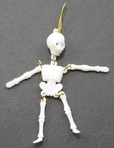 Skelet