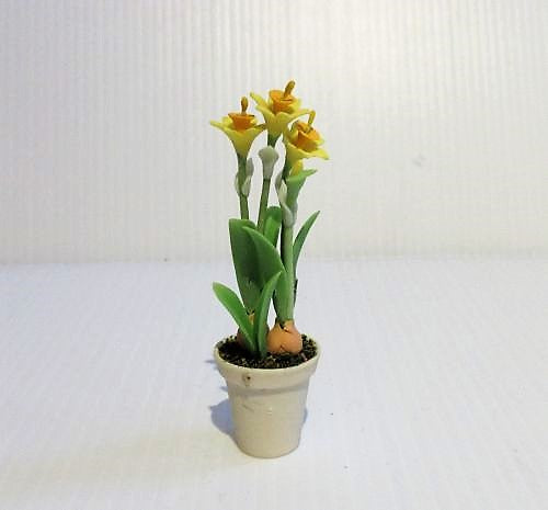 Påskeblomst i potte