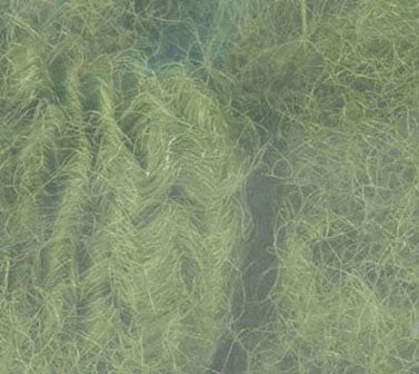 Poly fiber , grøn