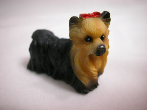 Heidi Ott: Yorkshire terrier