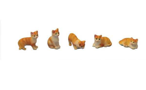 Katte ginger/ white ass.pr. stk.