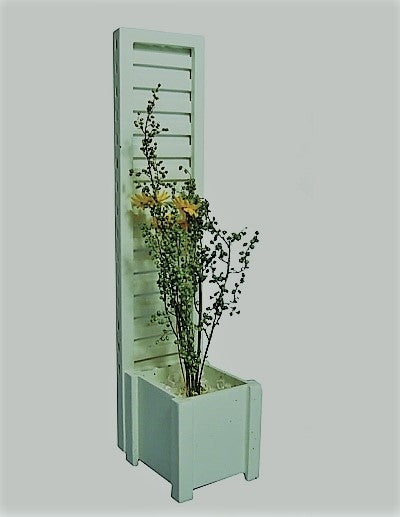 Blomsterkumme + espalier